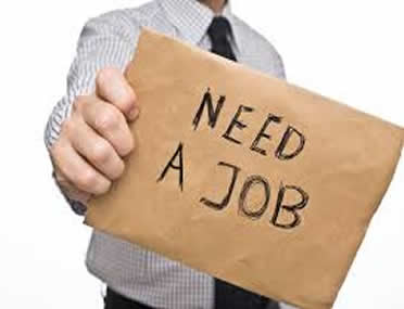 Need A Job